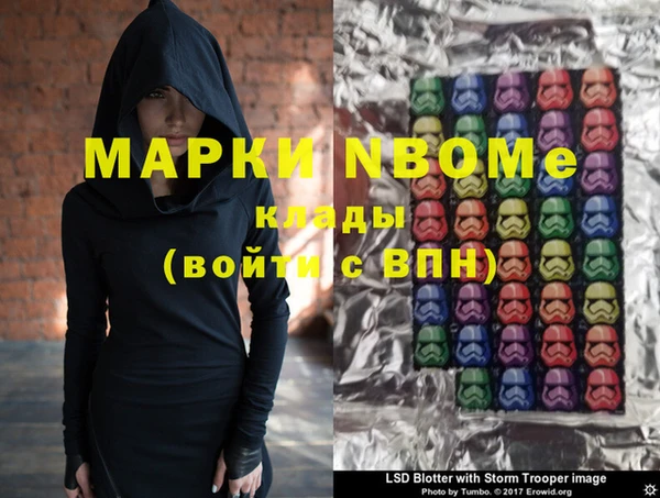 шишки Белокуриха