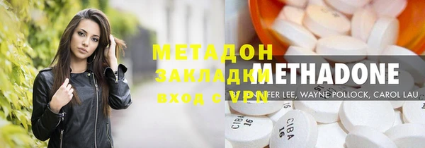 шишки Белокуриха