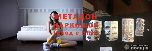 шишки Белокуриха