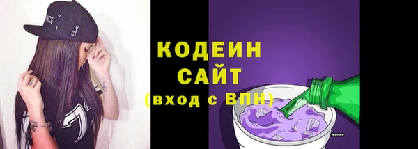 шишки Белокуриха