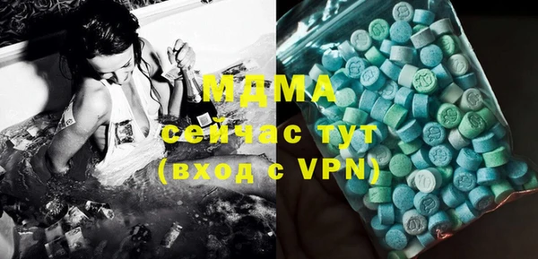 шишки Белокуриха