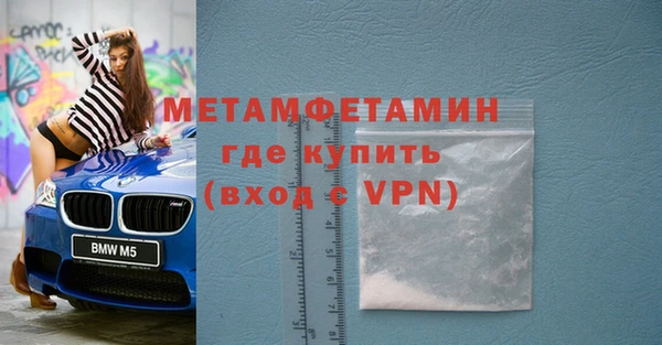 шишки Белокуриха